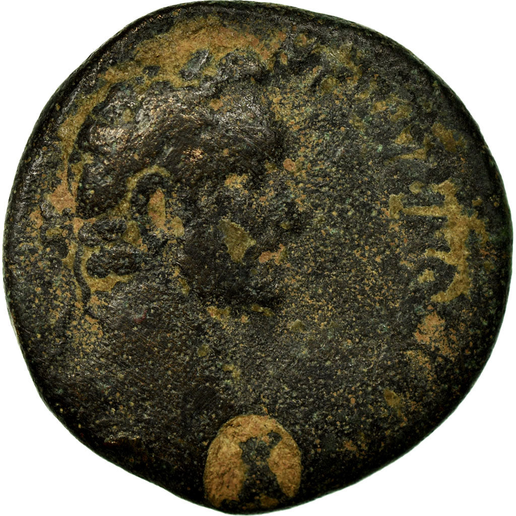 minca,
Seleucus a Pieria,
Antoninus Pius