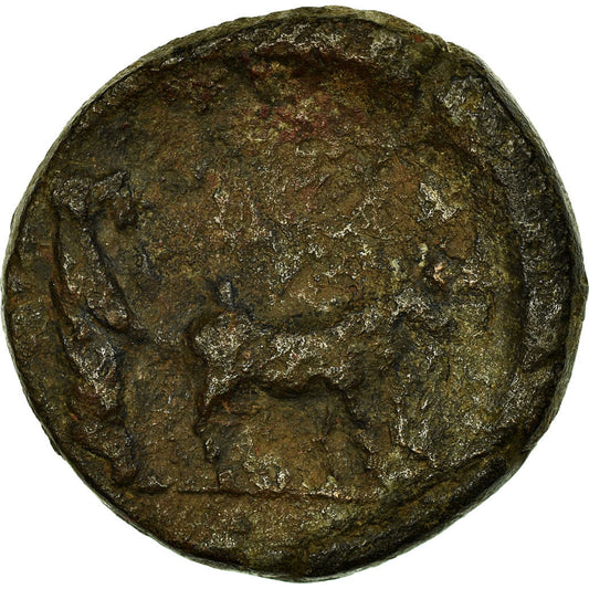minca,
Drusus,
Bronz Æ