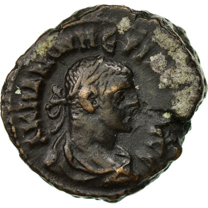 minca, 
  
  číselný, 
  
  Tetradrachm