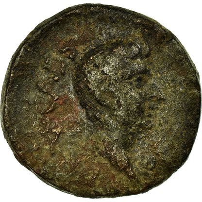 minca,
 
 Drusus,
 
 Bronz Æ